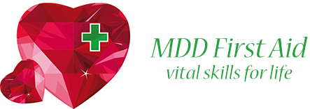 Professional First Aid Training by MDD First Aid
